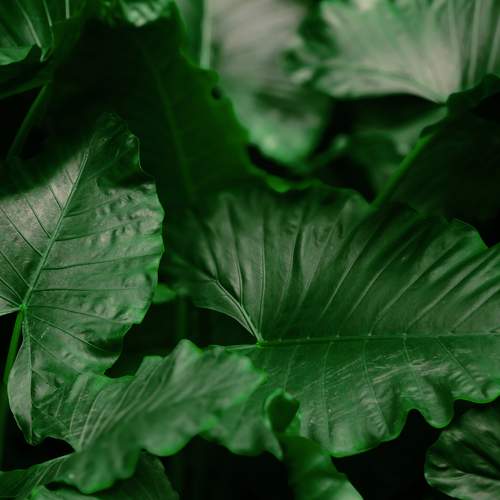 Photo #11376065