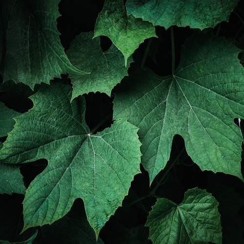 Photo #11376073