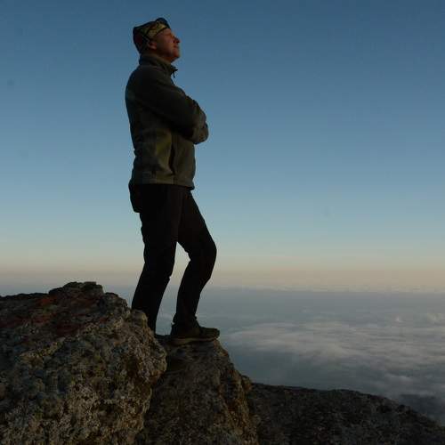 Photo #11376151