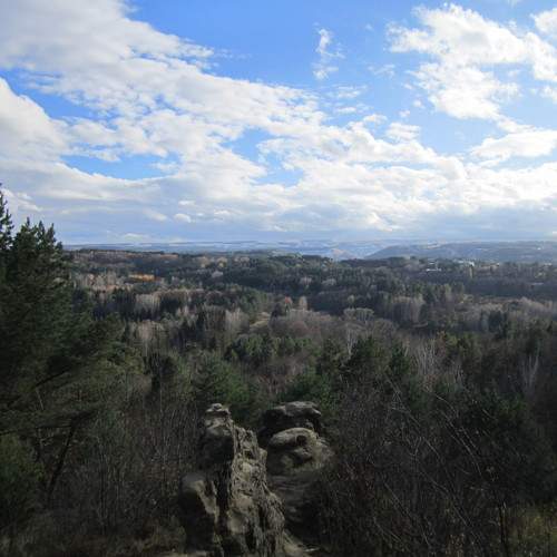 Photo #11376360