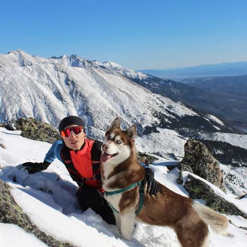 Photo #11376529
