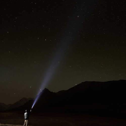 Photo #11376939