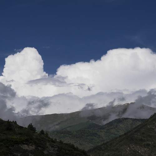 Photo #11377202