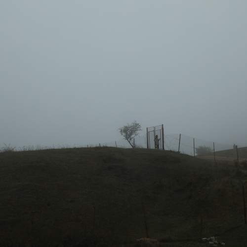 Photo #11377222