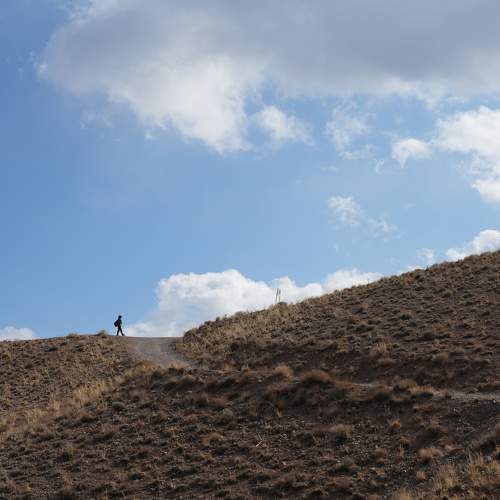 Photo #11377239