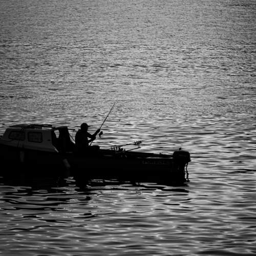 Photo #11377330