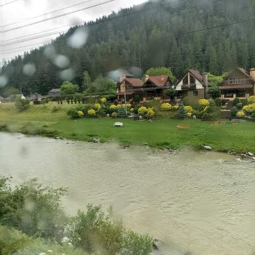 Photo #11377375