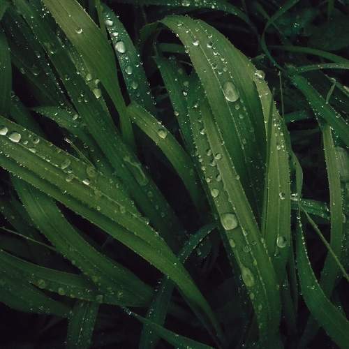 Photo #11377622
