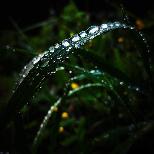 Photo #11377651
