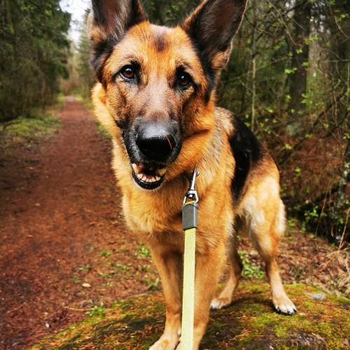 Photo #11377814