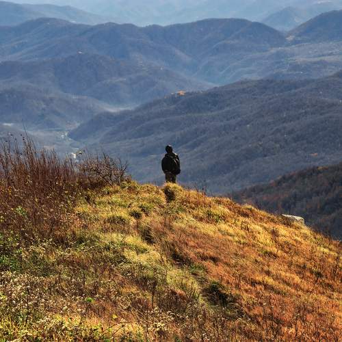 Photo #11377838