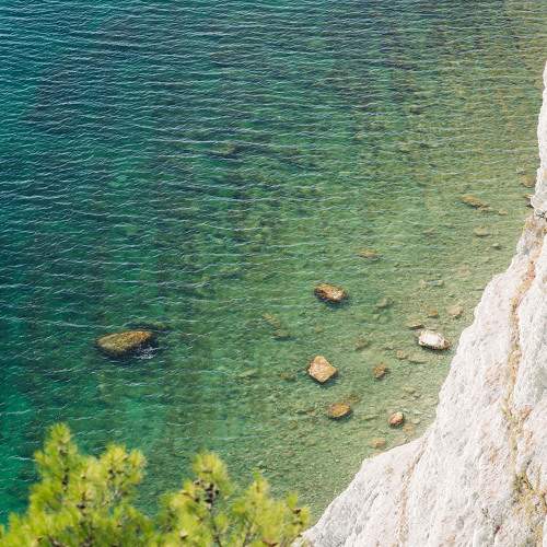 Photo #11377884