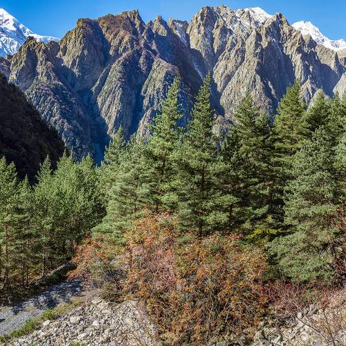 Photo #11378049