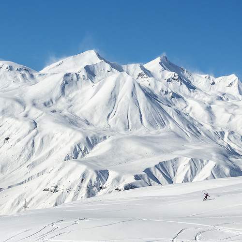 Photo #11378050