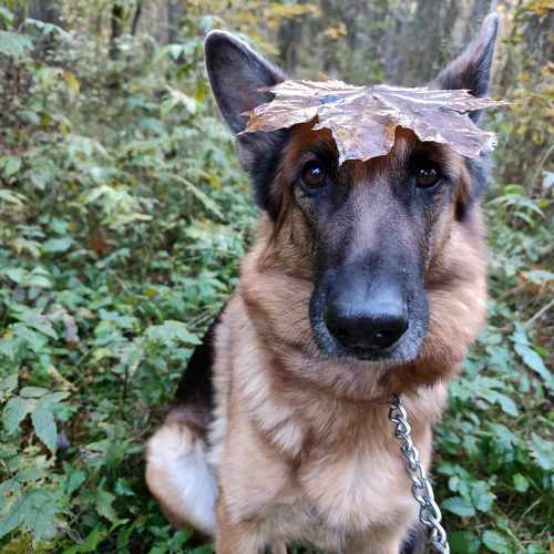 Photo #11378532