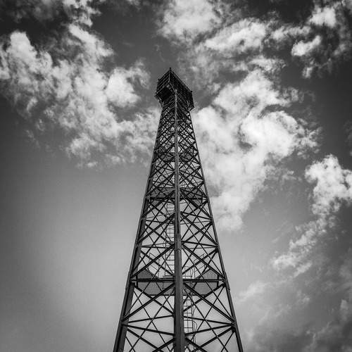Photo #11378599