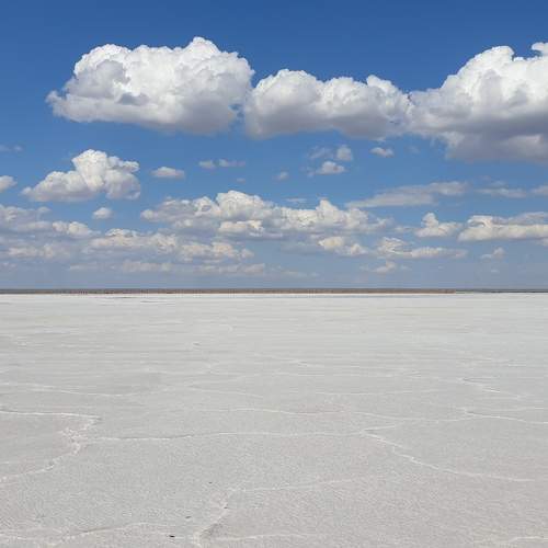 Photo #11378672