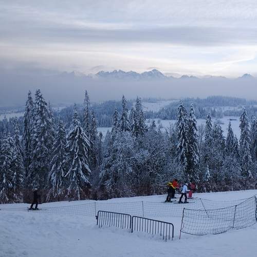 Photo #11378784