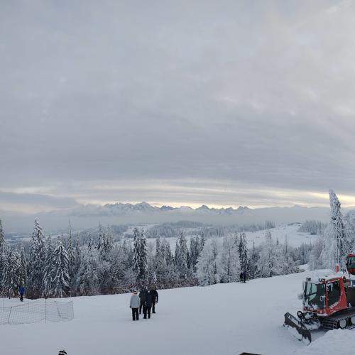 Photo #11378793
