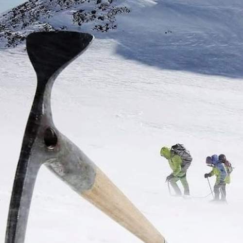 Photo #11378839