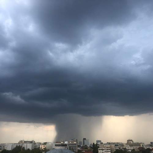 Photo #11378879