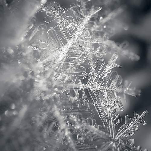 Photo #11379378