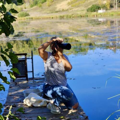 Photo #11379423