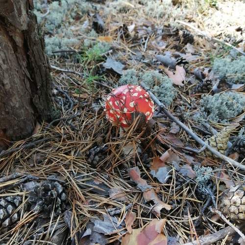 Photo #11379574