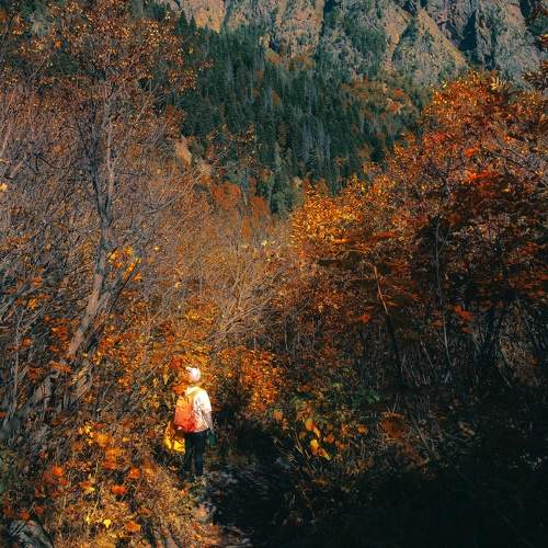 Photo #11379756
