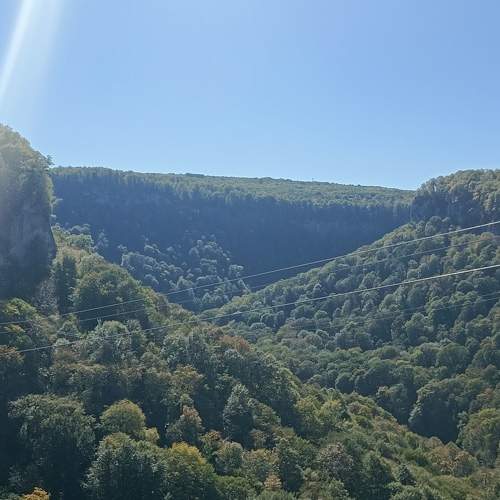 Photo #11379851