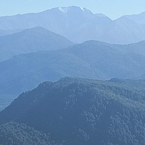 Photo #11379852