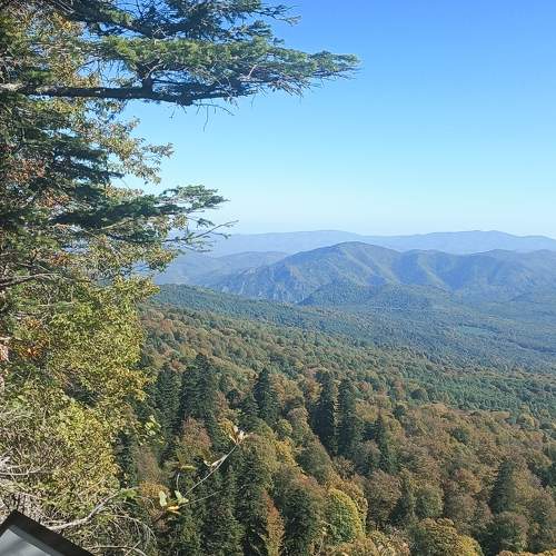 Photo #11379903