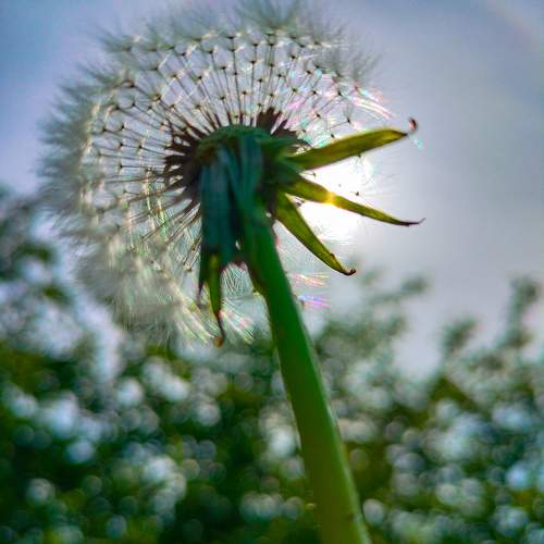 Photo #11379914