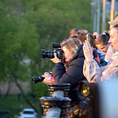 Photo #11380118