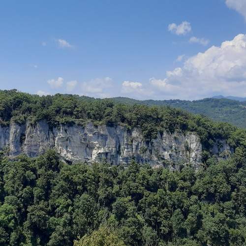 Photo #11380309