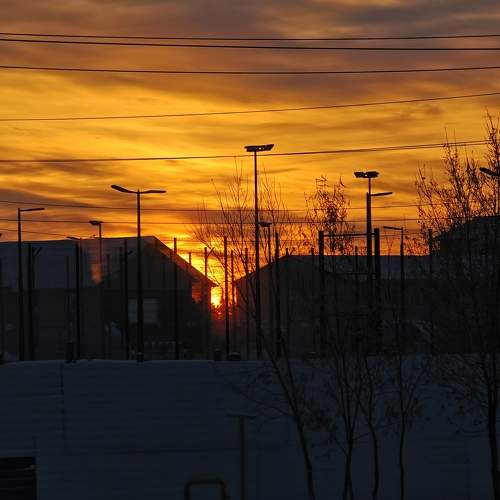 Photo #11380676