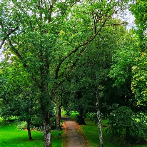 Photo #11380809