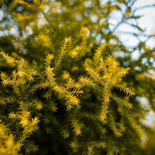 Photo #11381007