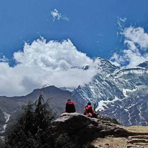 Photo #11381452