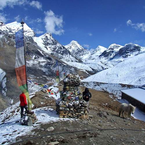 Photo #11381474