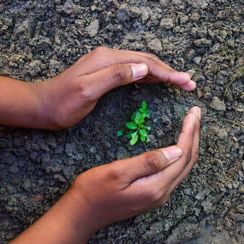 Photo #11381533