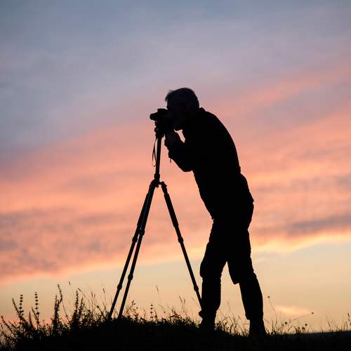 Photo #11381760