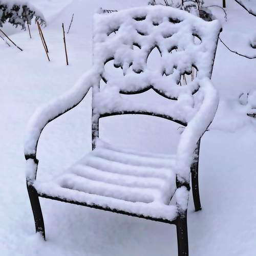 Photo #11381789