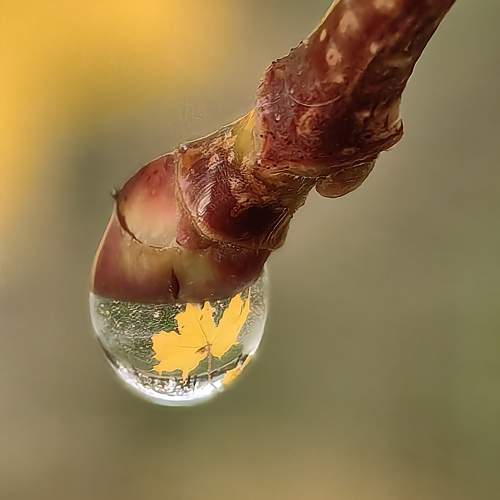 Photo #11382052