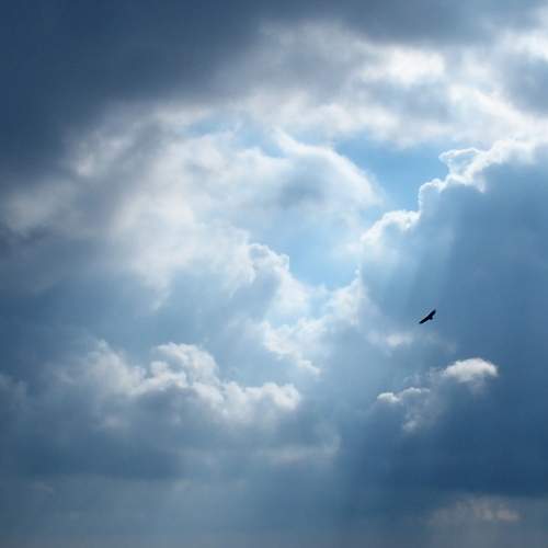 Photo #11382221