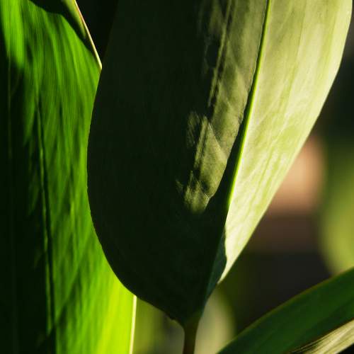 Photo #11382232
