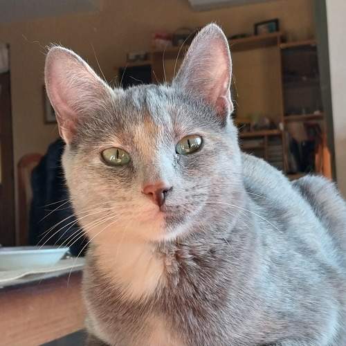Photo #11382314