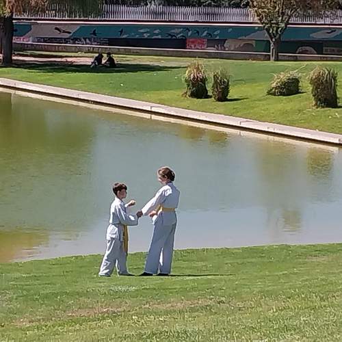 Photo #11382363