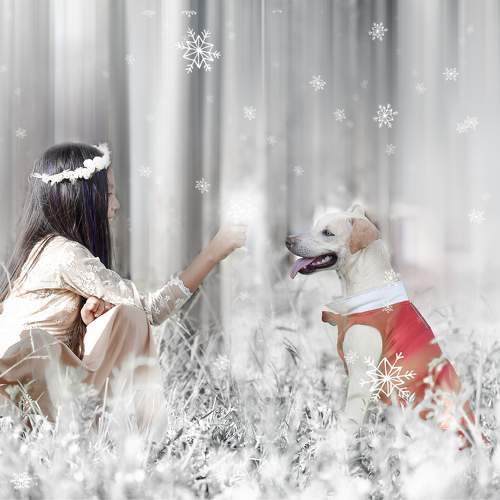Photo #11382527