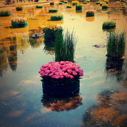 Photo #11382540
